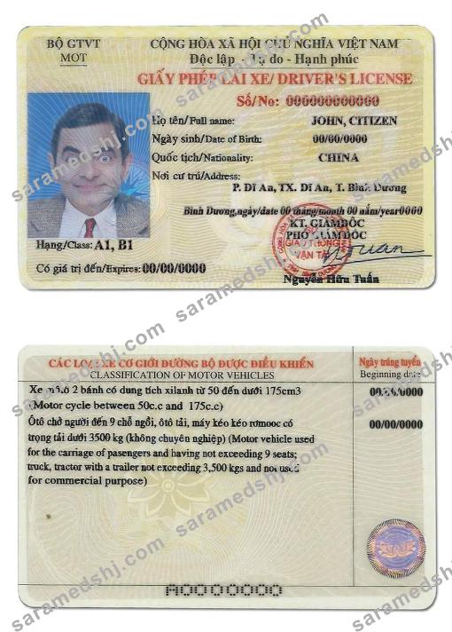 Vietnam driving license